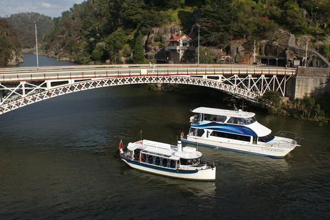 2.5 Hour Morning Discovery Cruise Including Sailing Into The Cataract Gorge - Accommodation Mermaid Beach 5