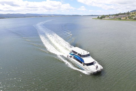 2.50 Hour Afternoon Discovery Cruise Including Cataract Gorge Departing At 3 Pm - Accommodation Mermaid Beach 0