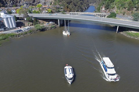 2.50 Hour Afternoon Discovery Cruise Including Cataract Gorge Departing At 3 Pm - Accommodation Mermaid Beach 3