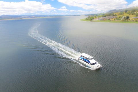 2.5 Hour Afternoon Discovery Cruise Including Cataract Gorge Departs At 1: 30 Pm - Accommodation Mermaid Beach 0