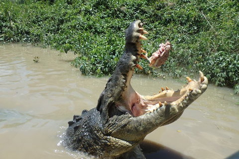 Litchfield And Jumping Crocodiles Full Day Trip From Darwin - Accommodation Mermaid Beach 3