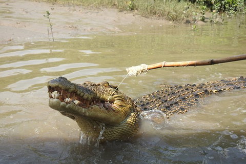 Litchfield And Jumping Crocodiles Full Day Trip From Darwin - Accommodation Mermaid Beach 4