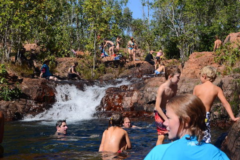 Litchfield And Jumping Crocodiles Full Day Trip From Darwin - Accommodation Mermaid Beach 5