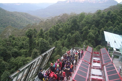Blue Mountains Private Tour With Wildlife Park And River Cruise - Accommodation Mermaid Beach 1