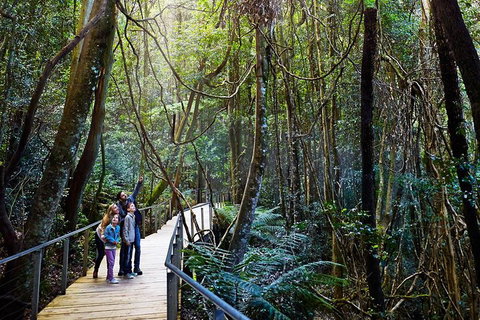 Blue Mountains Private Tour With Wildlife Park And River Cruise - Accommodation Mermaid Beach 4