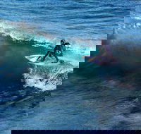 Great Ocean Road Highlights Tour - 2 Days 1 Night - Accommodation Mermaid Beach