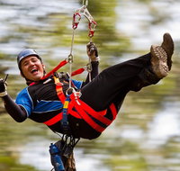 12 Apostles and Otway Fly Zipline Day Trip from Melbourne - Accommodation Mermaid Beach