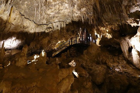 Ngilgi Cave Semi-guided Tour - Accommodation Mermaid Beach 2