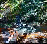 Aquaduck  Your choice of Gold Coast Rainforest Tour - Accommodation Mermaid Beach