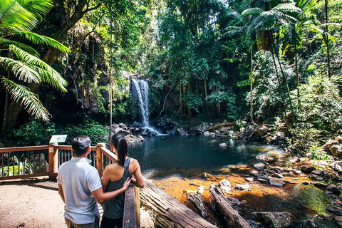 Aquaduck & Your Choice Of Gold Coast Rainforest Tour - Accommodation Mermaid Beach 0