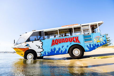 Aquaduck & Your Choice Of Gold Coast Rainforest Tour - Accommodation Mermaid Beach 3