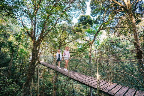 Aquaduck & Your Choice Of Gold Coast Rainforest Tour - Accommodation Mermaid Beach 4