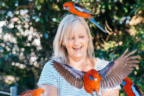 Aquaduck & Your Choice Of Gold Coast Rainforest Tour - Accommodation Mermaid Beach 5