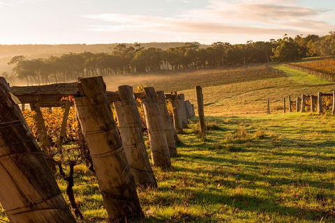 The All About Margaret River Tour: Wine, Coffee, Lunch And Forest - Accommodation Mermaid Beach 5