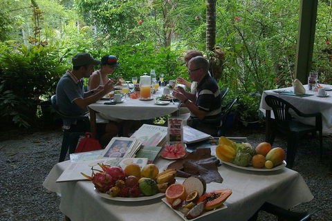4-Day Cairns Ultimate Combo: Daintree Rainforest, Reef, Kuranda & Paronella Park - Accommodation Mermaid Beach 4