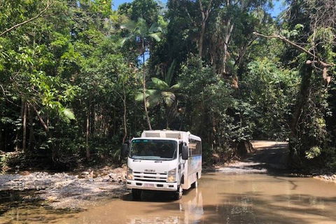 Cairns To Cooktown 4WD Tour - Accommodation Mermaid Beach 5