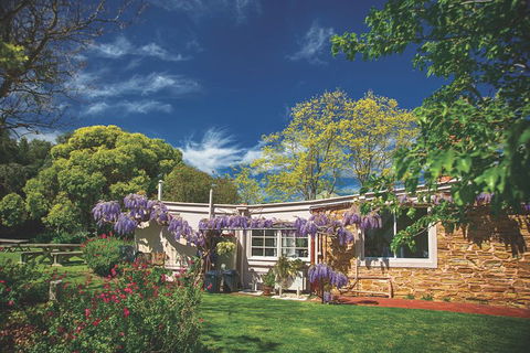 McLaren Vale Winery Small Group Tour With Wine Tasting And Lunch - Accommodation Mermaid Beach 2