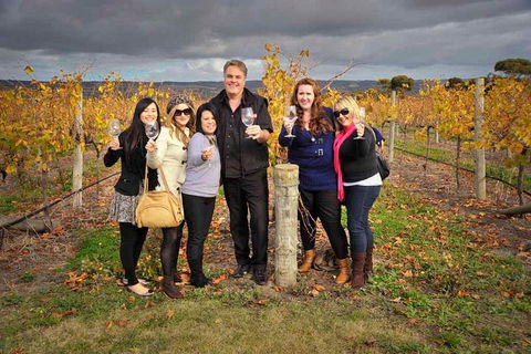 McLaren Vale Winery Small Group Tour With Wine Tasting And Lunch - Accommodation Mermaid Beach 3