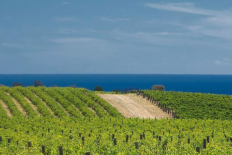 McLaren Vale Winery Small Group Tour With Wine Tasting And Lunch - Accommodation Mermaid Beach 4