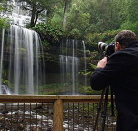 Mt Field and Styx Valley Photography Tour - Accommodation Mermaid Beach