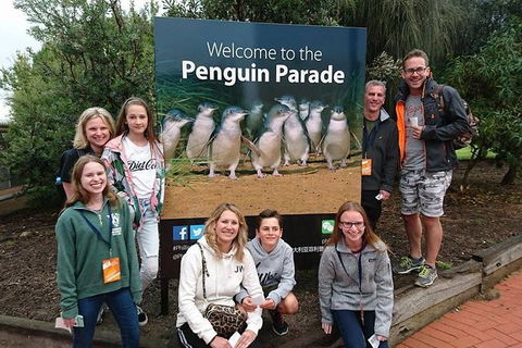 Phillip Island Medium Size Group Tour - Accommodation Mermaid Beach 5