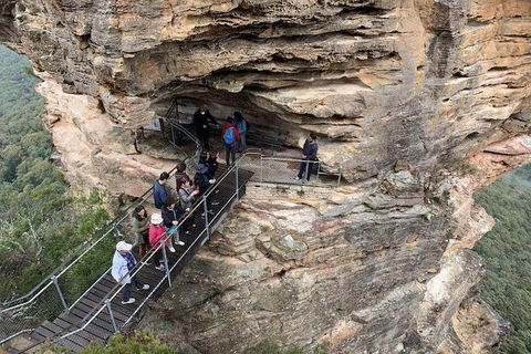 PJ Blue Mountains Supreme Day Tour - Accommodation Mermaid Beach 0
