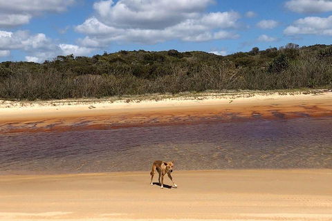 Pippies 3 Days 2 Nights Fraser Island Tour - Accommodation Mermaid Beach 2