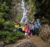 5-Day Lap of Tasmania Tour from Hobart flexible ticket - Accommodation Mermaid Beach