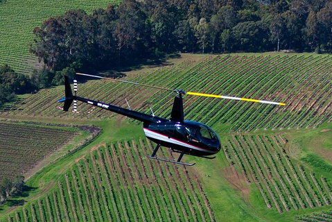 Hunter Valley Wine Country Helicopter Flight From Cessnock - Accommodation Mermaid Beach 3