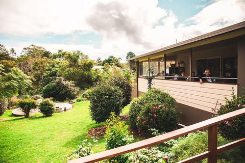 Full-day Springbrook National Park Tour From The Gold Coast - Accommodation Mermaid Beach 2