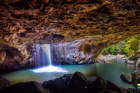 Full-day Springbrook National Park Tour From The Gold Coast - Accommodation Mermaid Beach 3