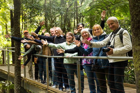All Inclusive Blue Mountains Small-Group Day Trip From Sydney - Accommodation Mermaid Beach 5
