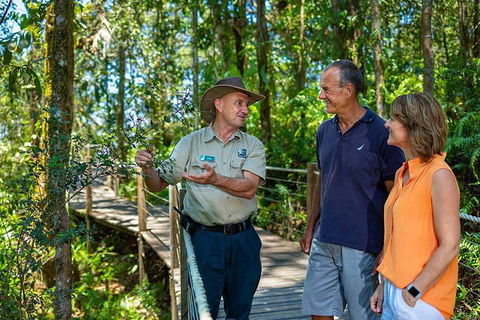 Kuranda Scenic Railway Day Trip From Cairns - Accommodation Mermaid Beach 1