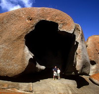 Full-Day Kangaroo Island Safari from Penneshaw - Accommodation Mermaid Beach
