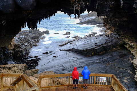Full-Day Kangaroo Island Safari From Penneshaw - Accommodation Mermaid Beach 1