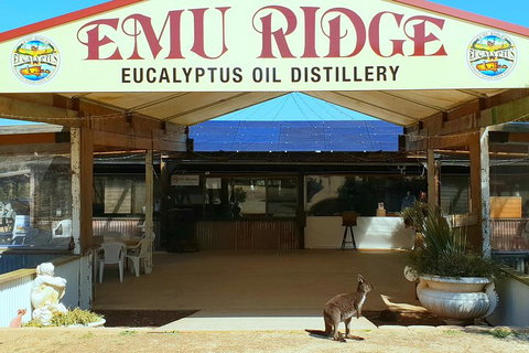 Full-Day Kangaroo Island Safari From Penneshaw - Accommodation Mermaid Beach 2