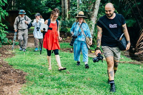 Let's Go Buggin & Let's Go Shroomin - Photography & Nature Walking Tours - Accommodation Mermaid Beach 0