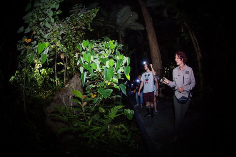 Let's Go Buggin & Let's Go Shroomin - Photography & Nature Walking Tours - Accommodation Mermaid Beach 4
