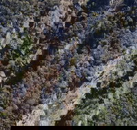 Leven Canyon Day Trip Including Wings Wildlife Park or Gunns Plains Caves - Accommodation Mermaid Beach
