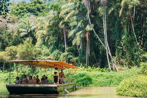 Tropical Fruit World Farm Full Tour