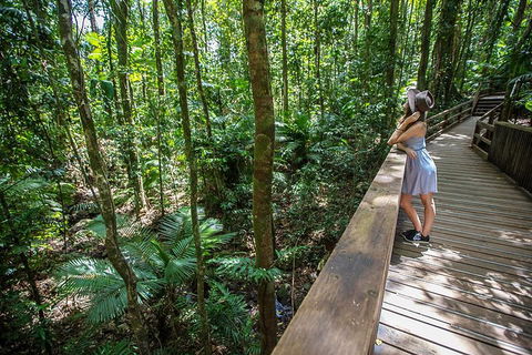 3 Day Great Barrier Reef, Daintree Rainforest And Outback Chillagoe Tour - Accommodation Mermaid Beach 3