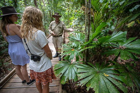 2 Day Daintree Rainforest, Cape Tribulation And Outback Chillagoe Tour - Accommodation Mermaid Beach 2