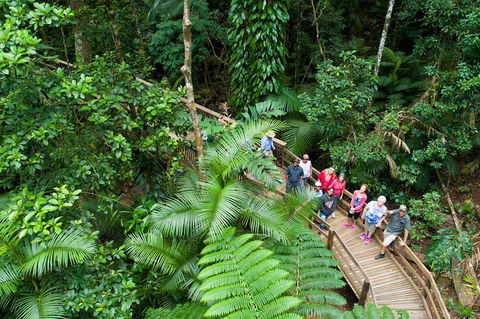 2 Day Daintree Rainforest, Cape Tribulation And Outback Chillagoe Tour - Accommodation Mermaid Beach 3