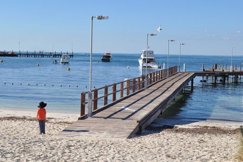 Monkey Mia Dolphins & Shark Bay Air Tour From Perth - Accommodation Mermaid Beach 0