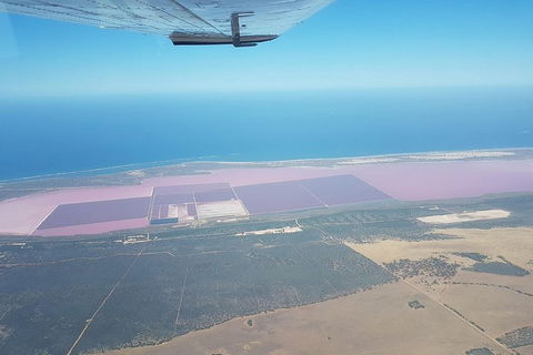 Monkey Mia Dolphins & Shark Bay Air Tour From Perth - Accommodation Mermaid Beach 5