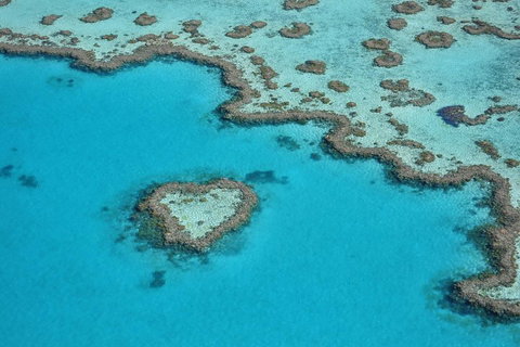 Reef And Island Scenic Flight From Airlie Beach - Accommodation Mermaid Beach 5