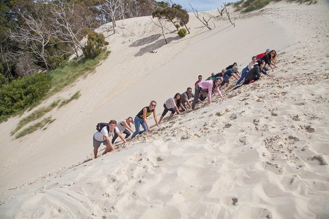 6-Day Tasmanian Explorer Adventure Tour From Hobart - Accommodation Mermaid Beach 2