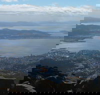 Mt Wellington Tour and MONA Admission - Accommodation Mermaid Beach