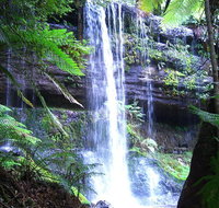 Mt Field National Park and Russell Falls from Hobart - Accommodation Mermaid Beach