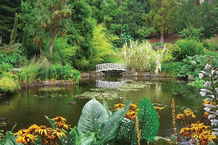  Accommodation Mermaid Beach